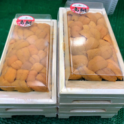 Bafun Uni Bara 100g (Grade A)