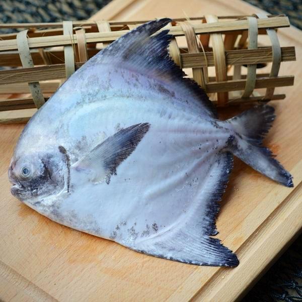 Fresh Chinese Pomfret