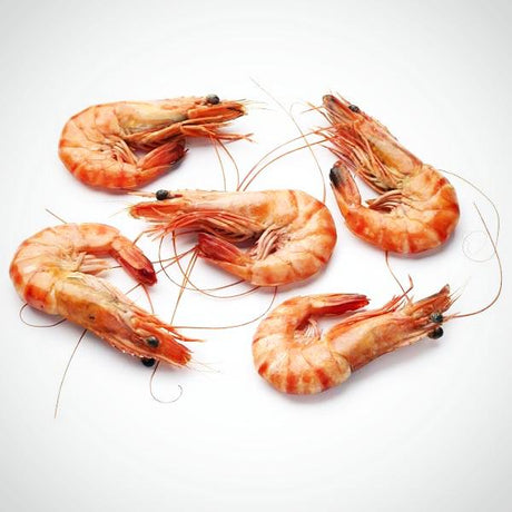 Frozen Cooked Prawn