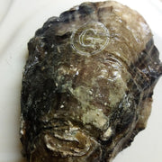 Buy The Freshest Gillardeau Oyster Online in Singapore at Ninja Food