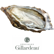 Buy The Freshest Gillardeau Oyster Online in Singapore at Ninja Food