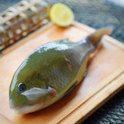 Live  Green Wrasse