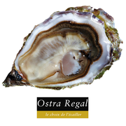 Legendary Oyster Bundle (6 Gillardeau & 6 Ostra Regal)