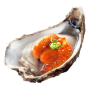 Buy Oyster Uni Combo Online in Singapore at Ninja Food
