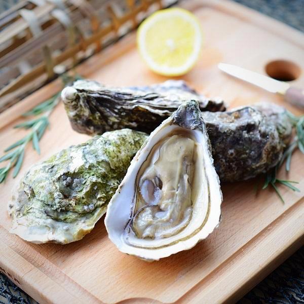 Live Canadian Oyster (Per Dozen)