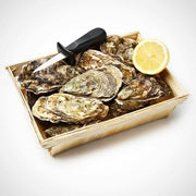 Live Fine de Claire Spéciale Oyster (Per Dozen)