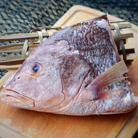 Red Snapper Head