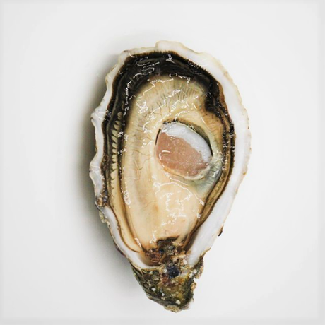 Live Sentinelle Oyster N2 (Ireland) per Dozen