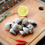 Live White Clam for Steamboat