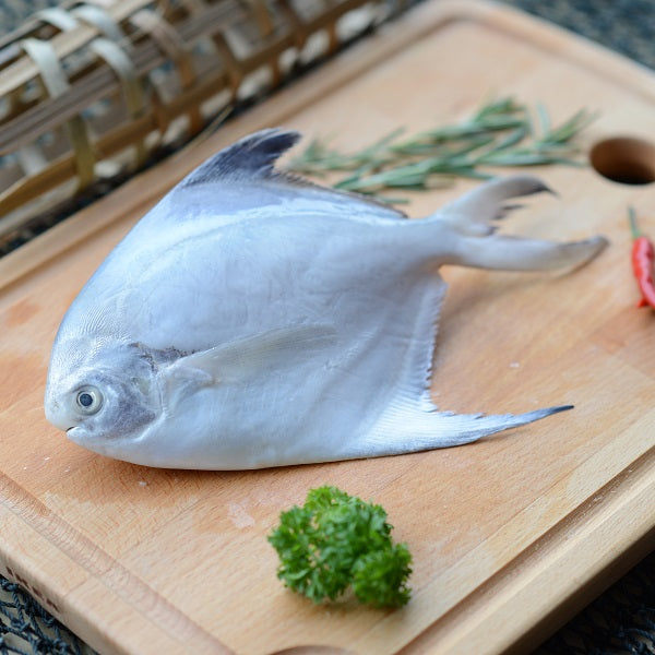 Fresh White Pomfret