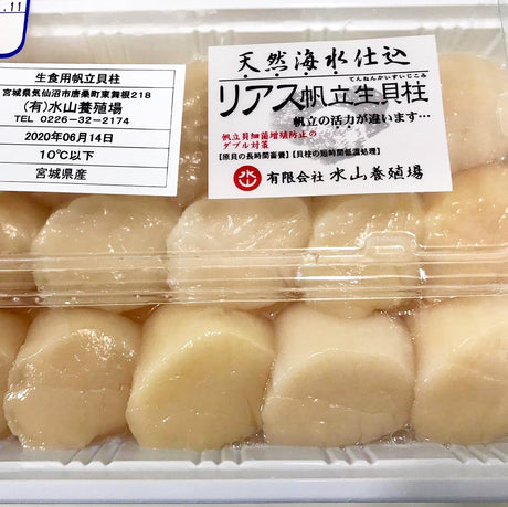 Fresh Muki Hotate Scallop Sashimi (500g Pack)