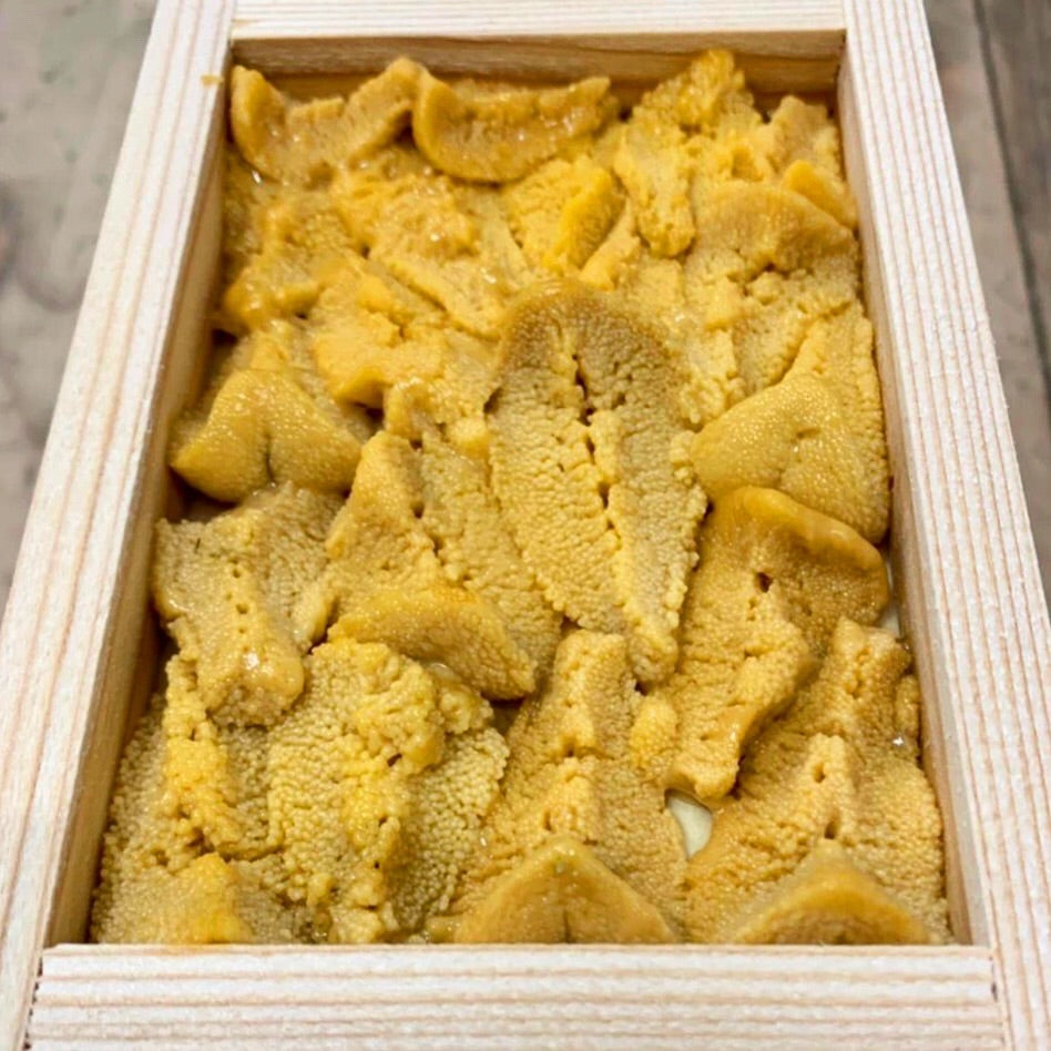 Awaji Island Aka Uni 50g (Grade A) - 2 Trays