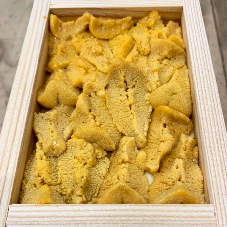 Awaji Island Aka Uni 50g (Grade A) - 2 Trays