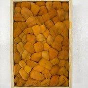 Bafun Uni Bara 250g (Auction Grade A)